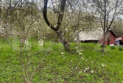 Teren de 784 mp, în Nistorești - 2