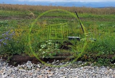 Teren Intravilan 500mp,spre vanzare in Sura Mica - 2