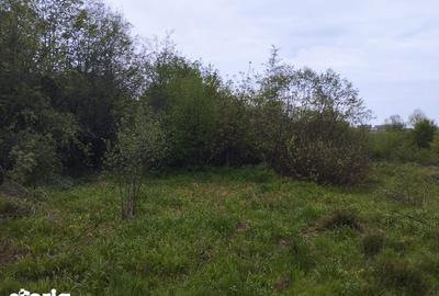 Teren de 2040 mp, în Sâmbăta de Sus - 1