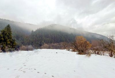 Spațiu comercial, în Rășinari - 6