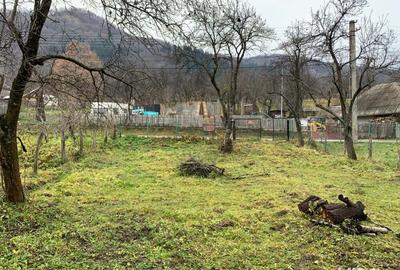 Teren de 1500 mp, în Corbi - 5