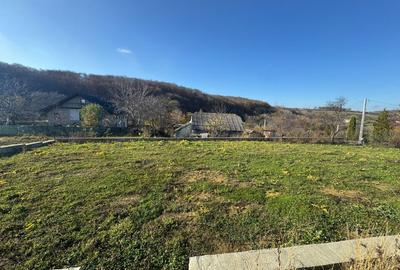 Vanzare  1400mp teren imprejmuit 2 loturi pt casa Adancata - sub padure - 15