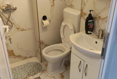 Inchiriez garsoniera confort 3 et 2 amenajata linga Afi Mall,UTA - 4