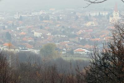 Teren de 35000 mp, în Cisnădioara - 6