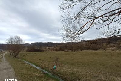 Teren de 2500 mp, în Central - 9