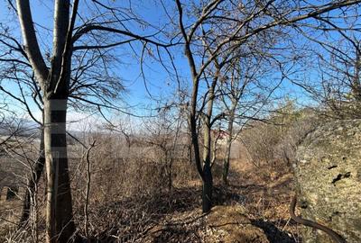 Teren intravilan de vanzare, 17700 mp Zalau - 5