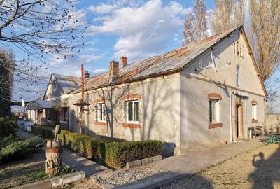 Spațiu comercial, de 10,000 mp, în Beciu - 3