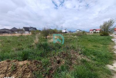 Spațiu comercial, în Cristian