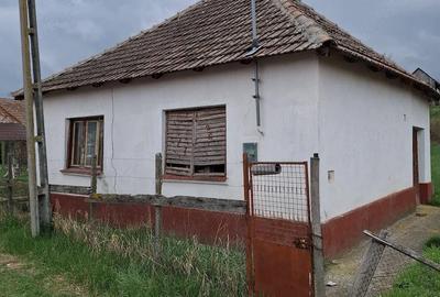 Casă cu Teren 450 Mp în Roșiori - 5