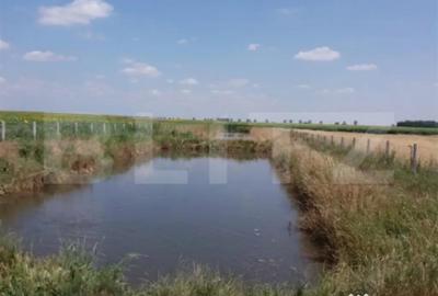 Casă cu 2 camere cu Teren 4700 Mp în Central - 6