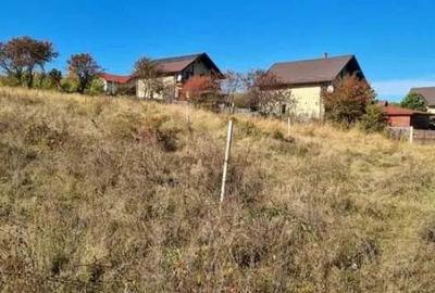 Pers. fizica,Vand 1.648 mp teren intravilan com. Barnova, Iasi - 3