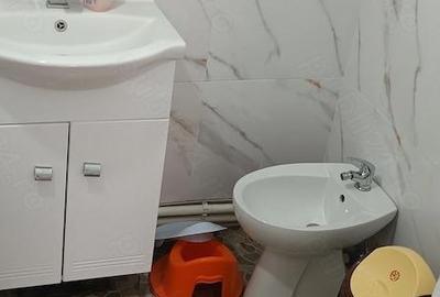 Casă cu Teren 1052 Mp în Bălteni - 10
