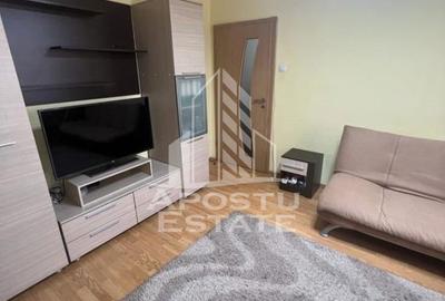 Apartament cu 2 camere, mobilat în Iosefin - 10