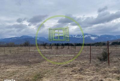 Teren de 1200 mp, în Central