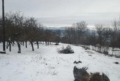 Casă cu 4 camere în Central - 3