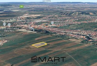 Teren  extravilan 2500 mp in Orlat