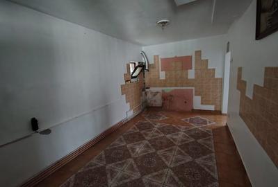Casă individuală cu 3 camere în B-dul București