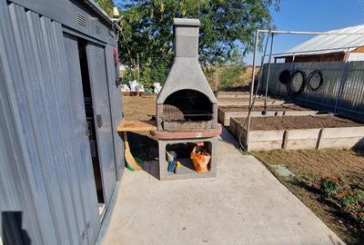 Casă cu 3 camere în Odaia Manolache - 1