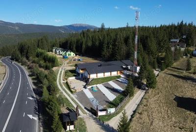 Casă în Valea Putnei - 8