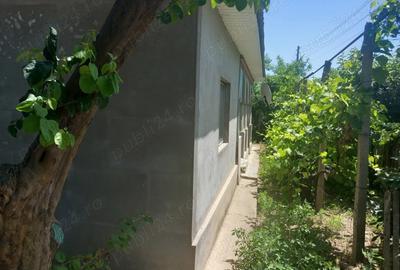 Casă cu 2 camere cu Teren 2700 Mp în Făcăeni - 9