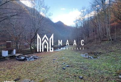 Casă cu 5 camere cu Teren 1466 Mp în Șura Mică - 2