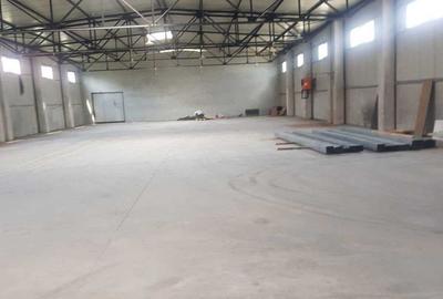 Hala 500 mp Oras Pantelimon - 2