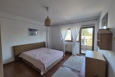 Apartament cu 2 camere semidecomandat în Colentina - 11