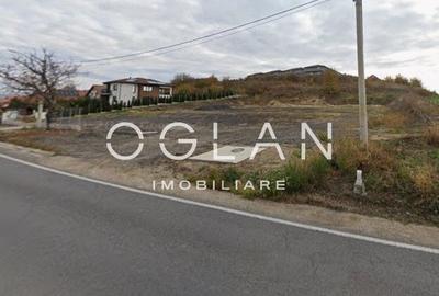 Teren Imprejmuit, la sosea (DN14)- SURA MARE - 4