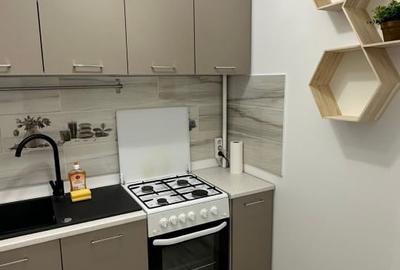 Particular Dristor la 2 min metrou LUX - 2