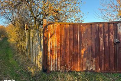 Teren de 3323 mp, în Ineu - 6