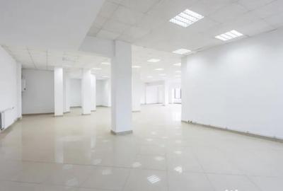 Spațiu comercial, de 250 mp, în Ferdinand - 12