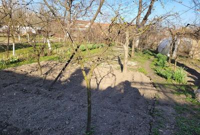 Casă cu 3 camere cu Teren 726 Mp în Central - 5