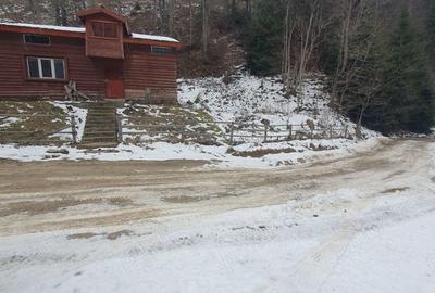 Casă cu 3 camere în Central - 7