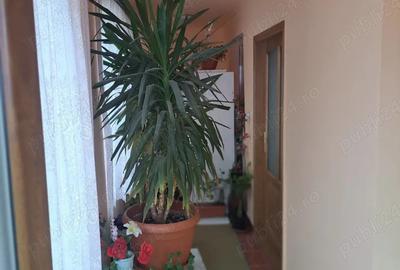 Casă cu 3 camere cu Teren 600 Mp în Vladimirescu - 2