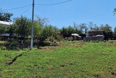 Teren intravilan 5000 m si casa Odaia Manolache. - 5