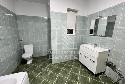 Imobil de vanzare P+M, 173 mp utili,  Elisabetin. - 20