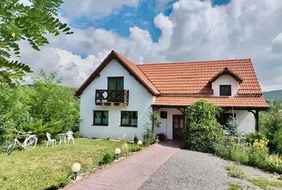 A 1613 De vanzare casa in Mure? - Ceua?u de Campie - 5