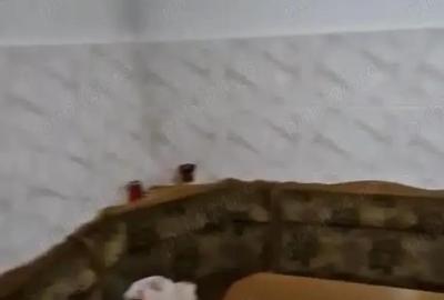 Vand 3 cam Scoala nr. 1 - 7