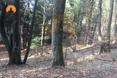 Oportunitatea Investițională în Poiana Brașov - Teren 2000 mp, Zonă Verde 2 - 8