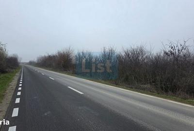 Teren de 3000 mp, în Hinova