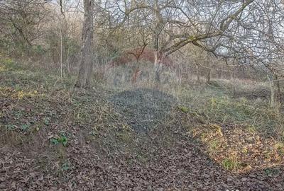 Casă cu 2 camere cu Teren 1000 Mp în Schei - 5