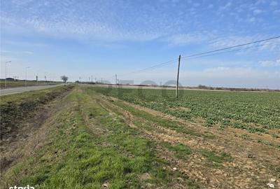 Teren de 5754 mp, în Nojorid - 2