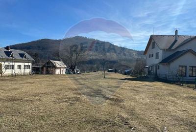 Teren de 3606 mp, în Pângărați - 2