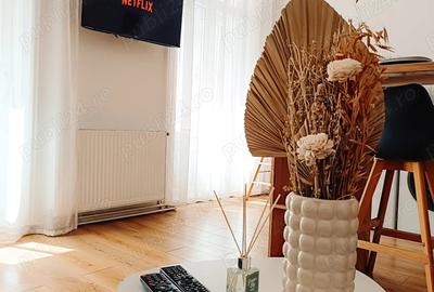 Apartament 2 camere de inchiriat Central, zona Teatrului, Arad - 2