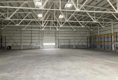 Hala / depozit la DN, constr. 2020, langa Timisoara, autorizata ISU - 3