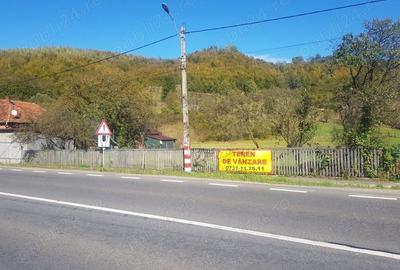 Teren de 4500 mp, în Ciucea - 6