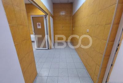 Spatiu comercial de inchiriat 850 mpu lift industrial Terezian Sibiu - 4