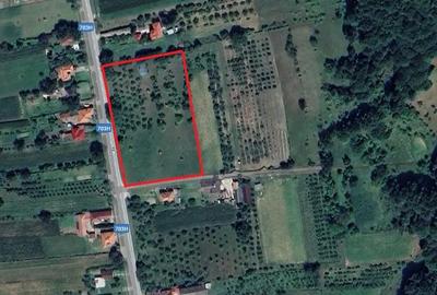 Teren de 6937 mp, în Sălătrucu - 2