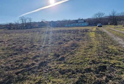 Teren intravilan de 1800 mp, în 9 Mai - 4