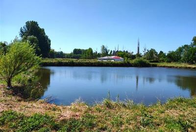 Teren 18.247 mp cu balta de pescuit  Misca, Comuna Chislaz, Bihor - 1